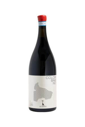 Colombarino Valpolicella Classico Superiore DOC 2019 BIO - MAGNUM